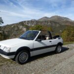 peugeot 205 cabriolet